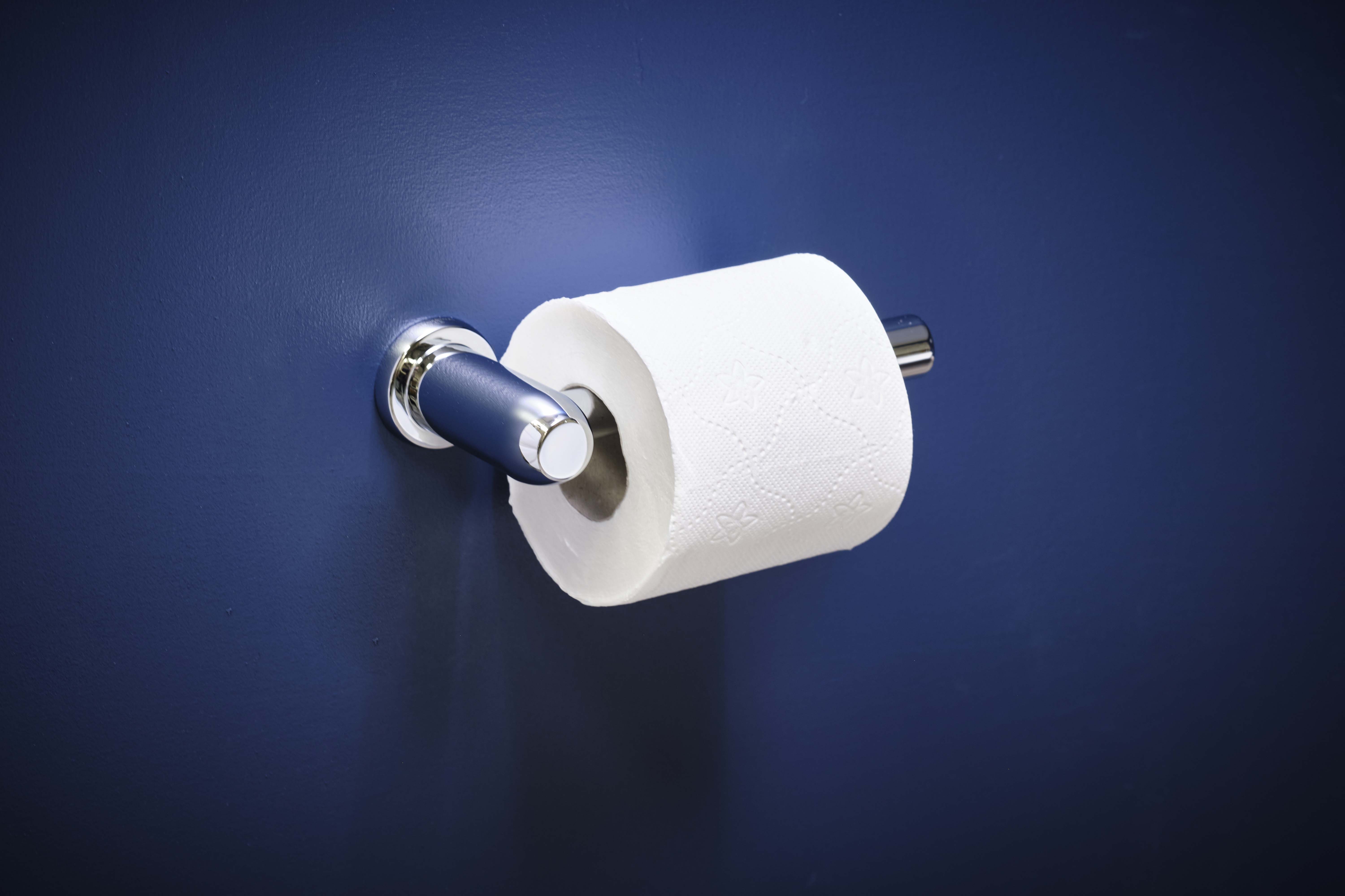 Langbourn Toilet Roll Holder - Chrome